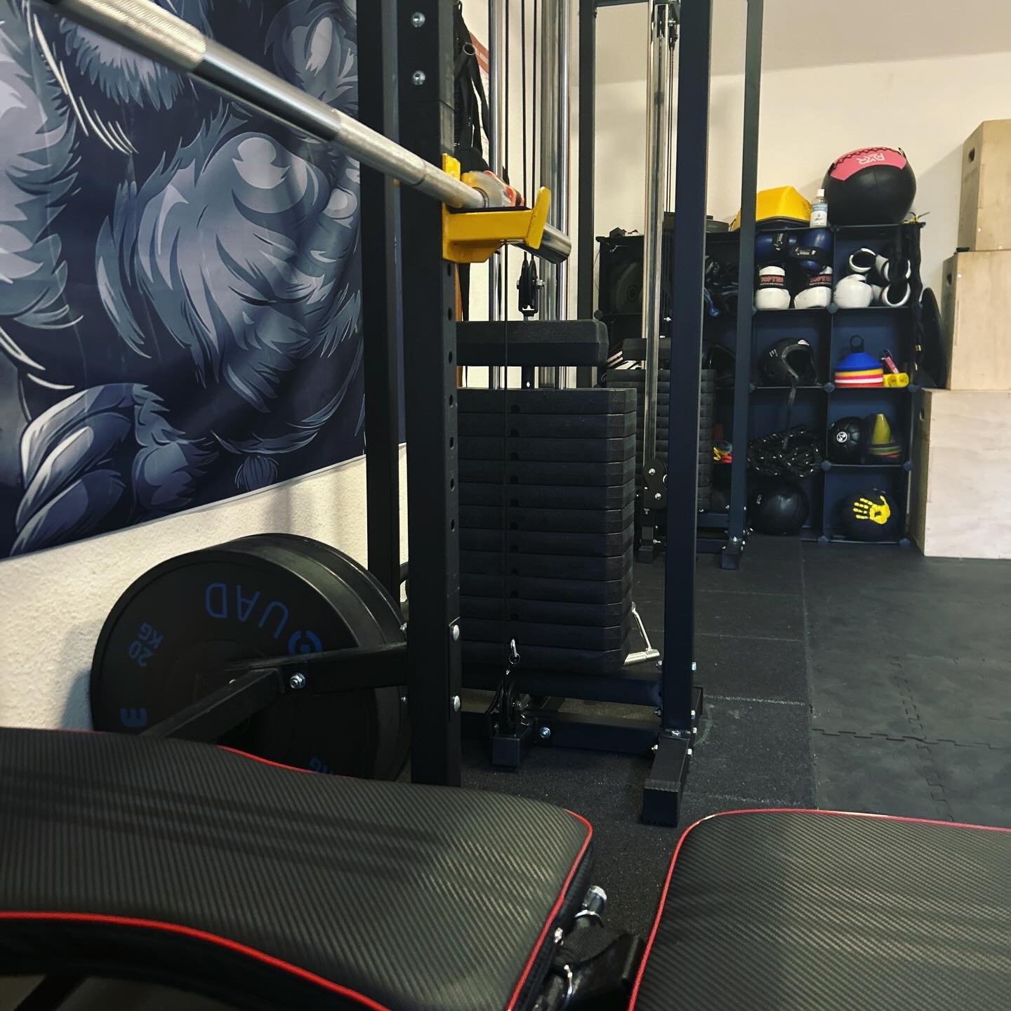 Core Strength & Endurance